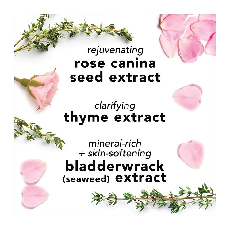 Facial Spray With Aloe, Herbs & Rosewater