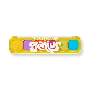 Little Trouble Shadow Palette Genius