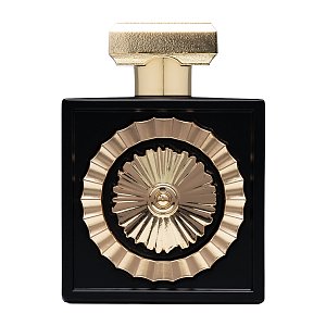 Pride Nebras EDP